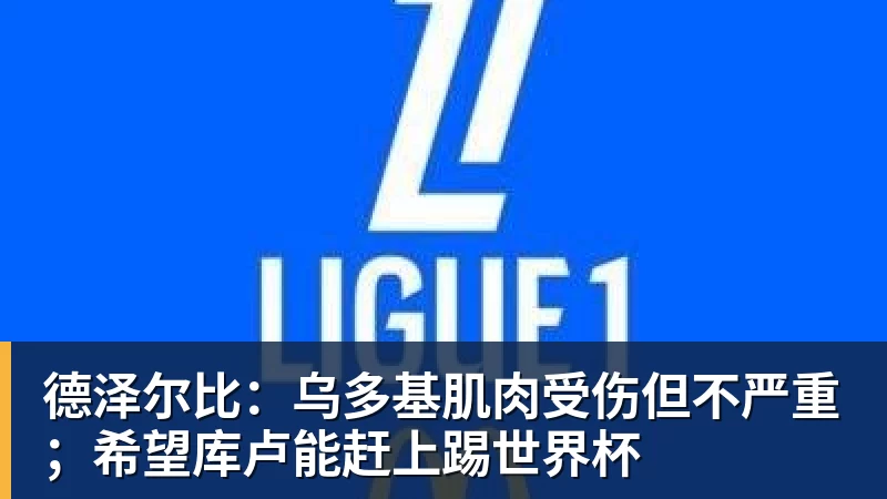 德泽尔比:乌多基肌肉受伤但不严重;希望库卢能赶上踢世界杯 德泽尔比:乌多基肌肉受伤但不严重;希望库卢能赶上踢世界杯