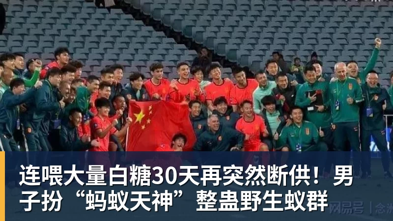 连喂大量白糖30天再突然断供！男子扮“蚂蚁天神”整蛊野生蚁群